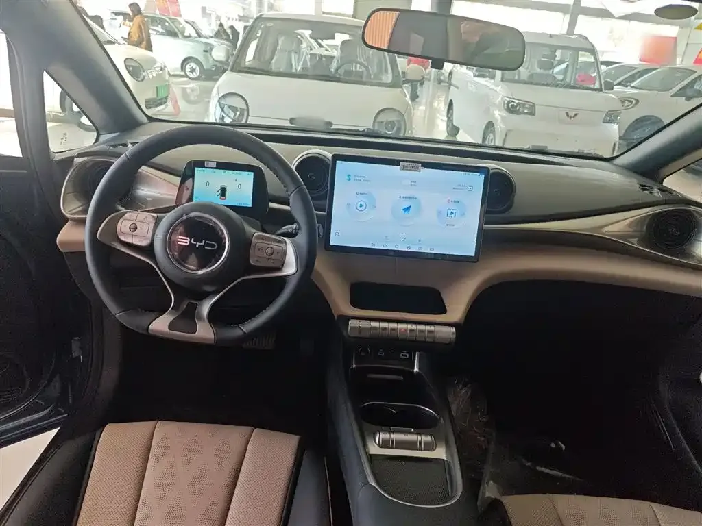 [object Object] Dolphin 2025 из CN, фото 10