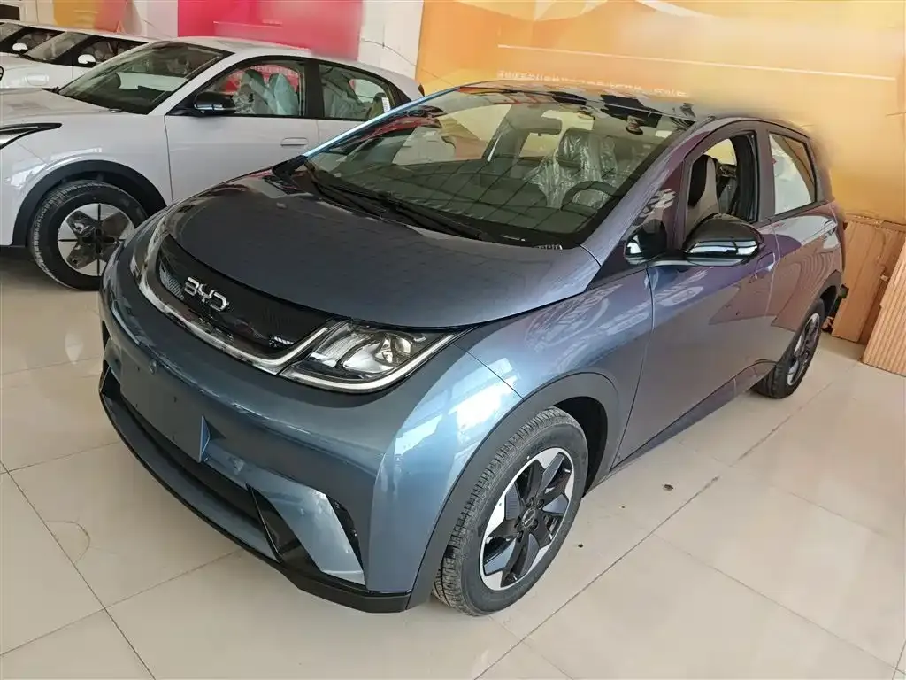 [object Object] Dolphin 2025 из CN, фото 2