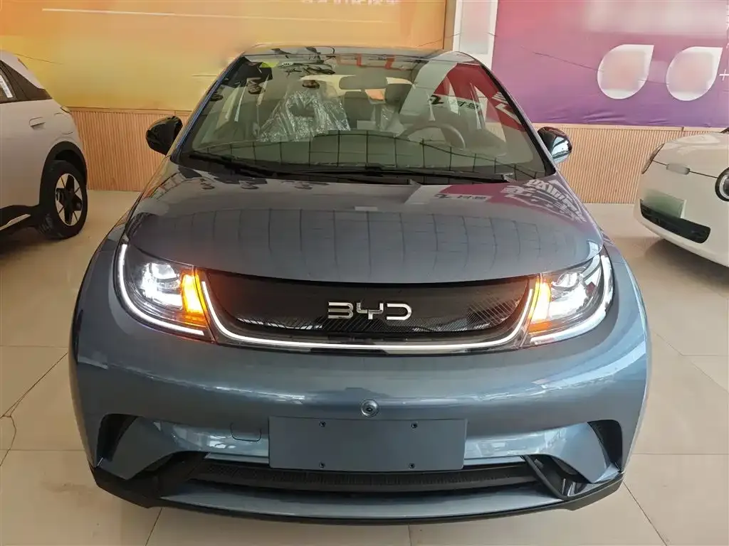 [object Object] Dolphin 2025 из CN, фото 3