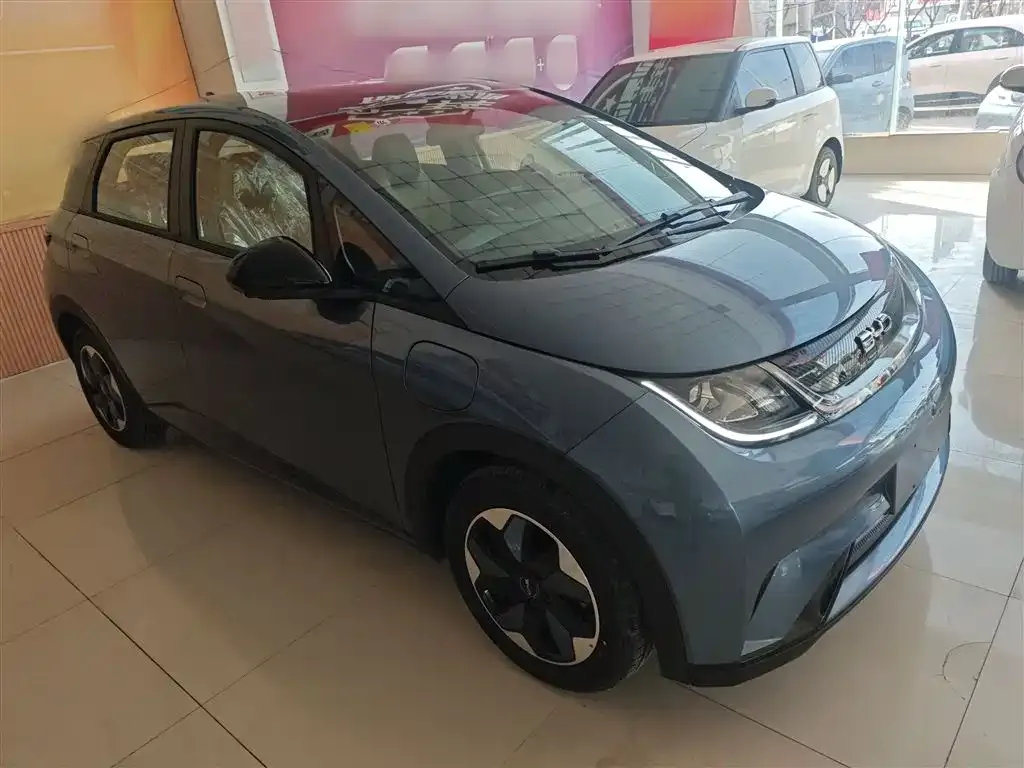 [object Object] Dolphin 2025 из CN, фото 4