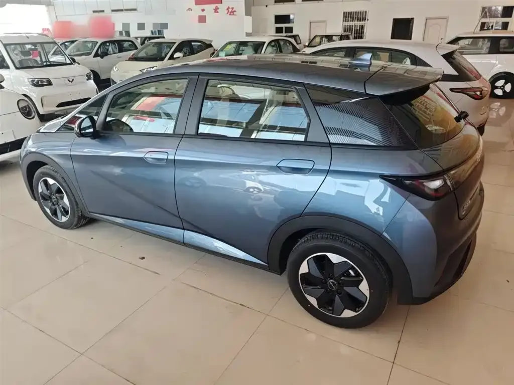 [object Object] Dolphin 2025 из CN, фото 5