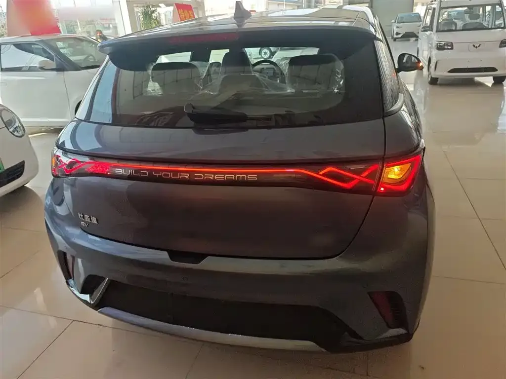 [object Object] Dolphin 2025 из CN, фото 6