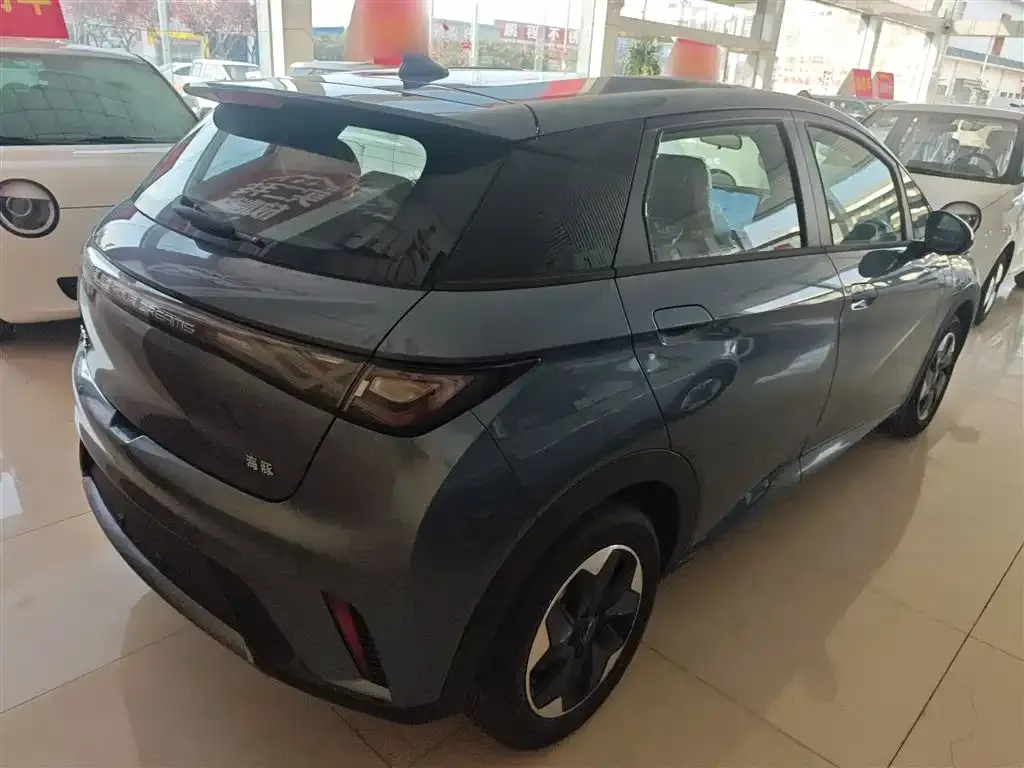 [object Object] Dolphin 2025 из CN, фото 7