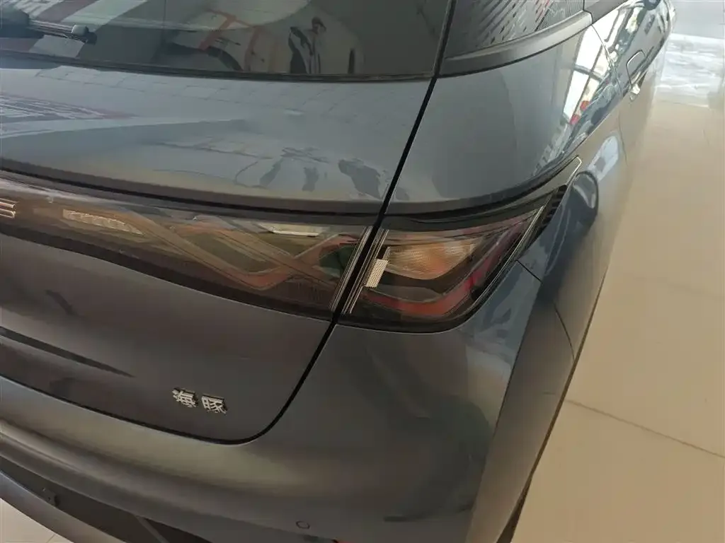 [object Object] Dolphin 2025 из CN, фото 8