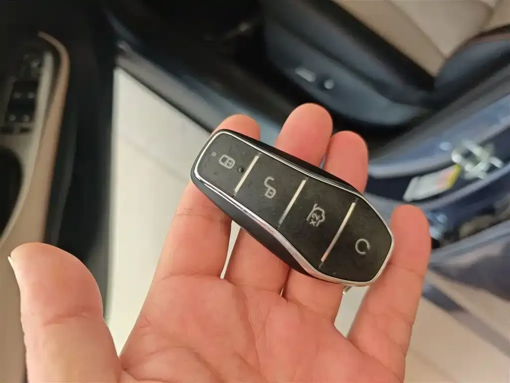 [object Object] Dolphin 2025 из CN, фото 9