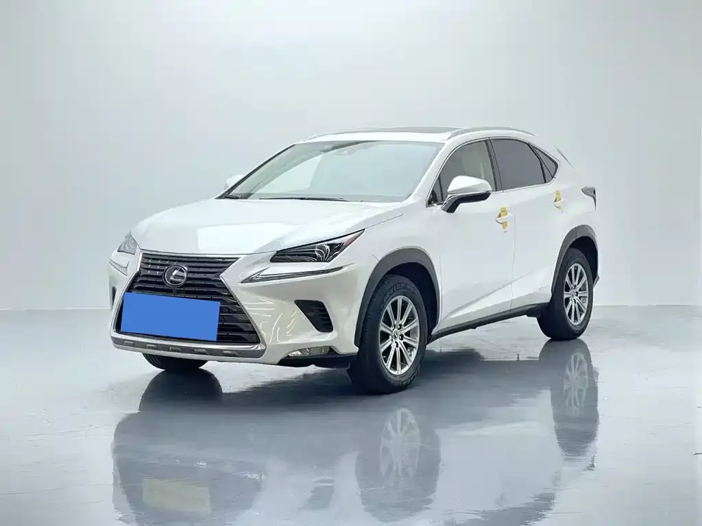 Lexus NX 2021 из CN, фото 1
