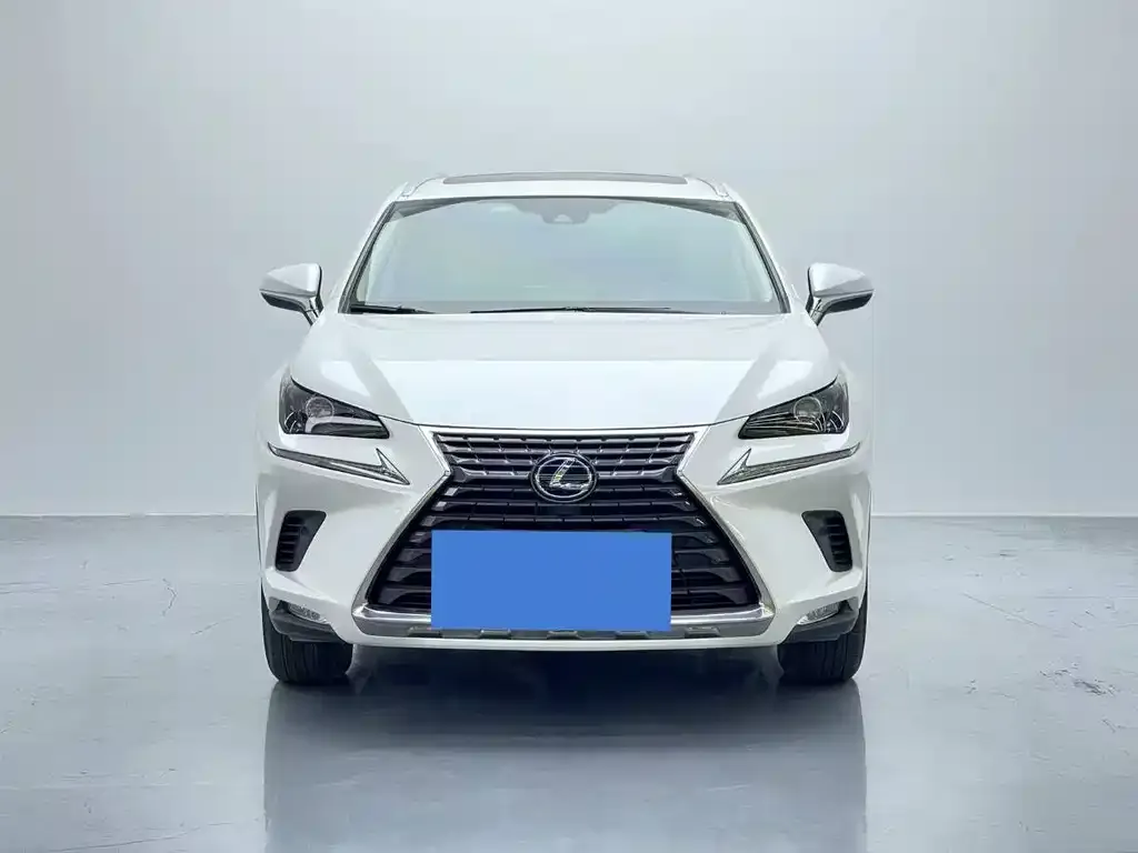 Lexus NX 2021 из CN, фото 5