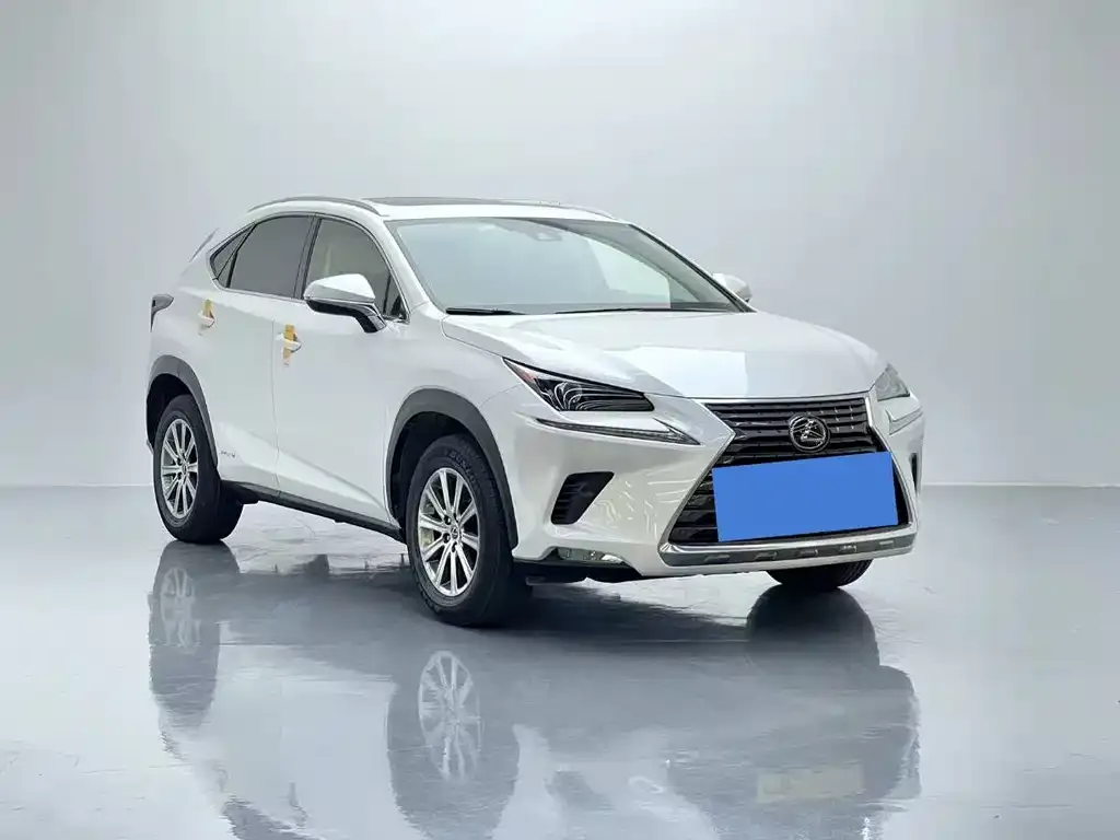 Lexus NX 2021 из CN, фото 10