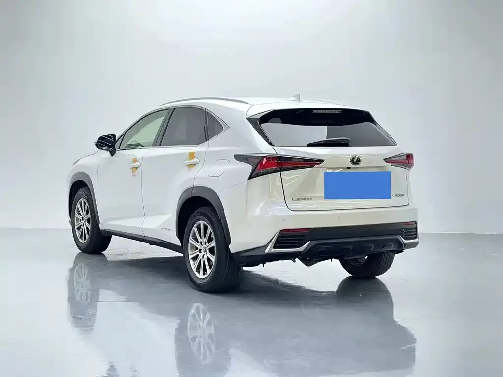 Lexus NX 2021 из CN, фото 6