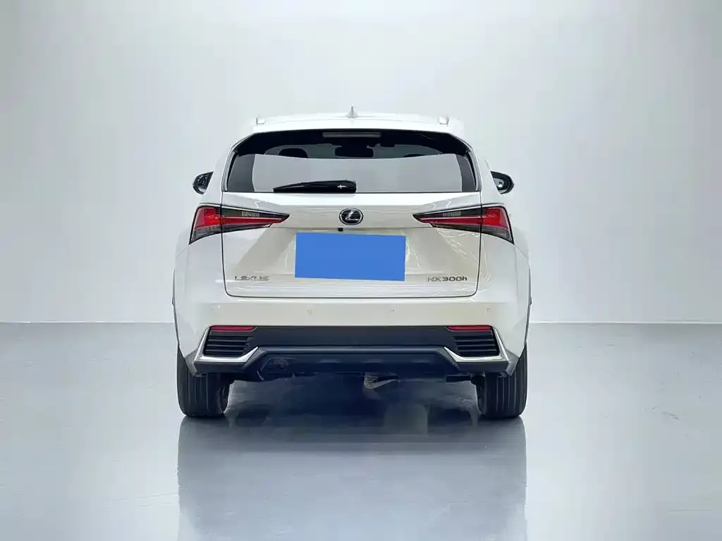 Lexus NX 2021 из CN, фото 2