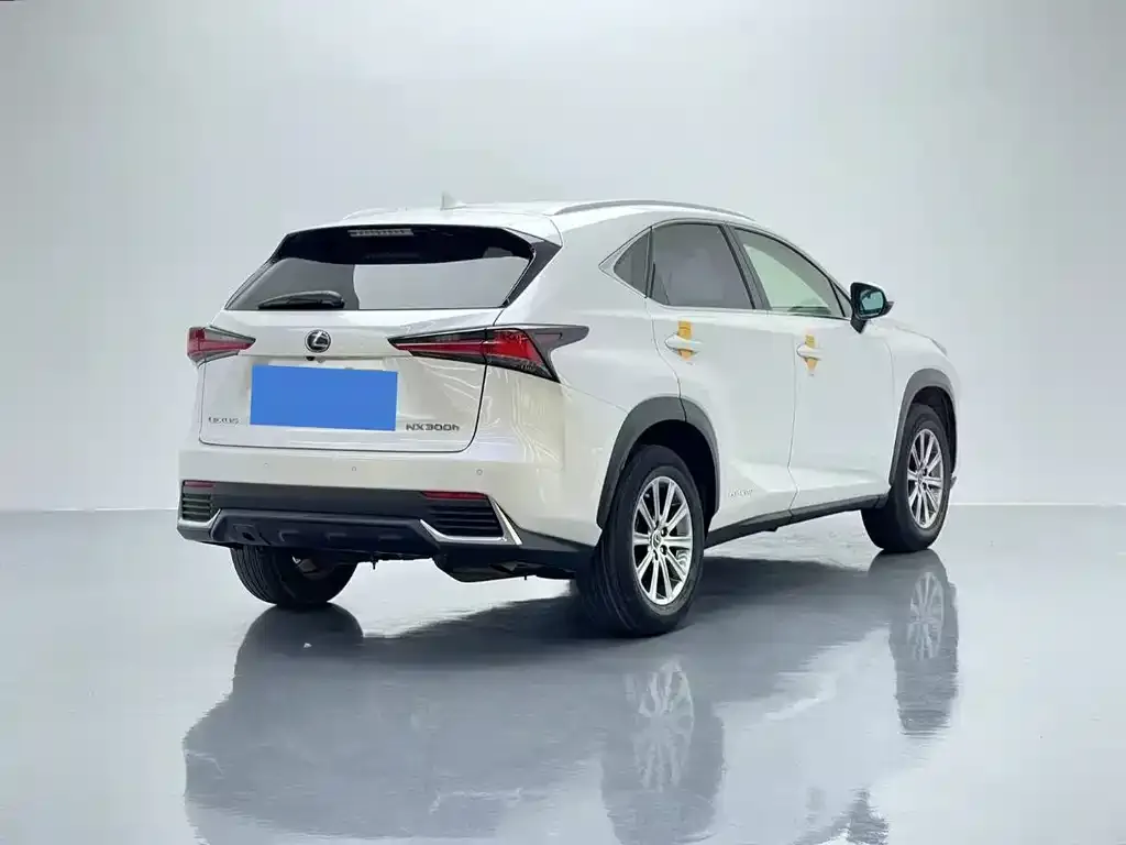 Lexus NX 2021 из CN, фото 4