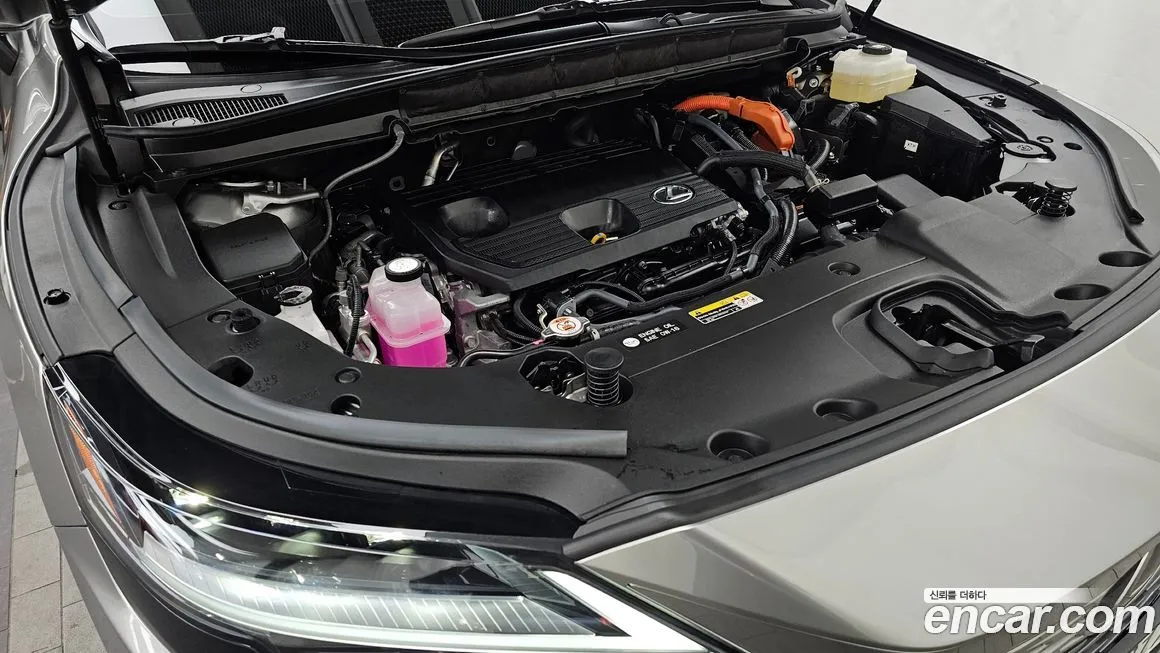 Lexus RX 2024 из KR, фото 10
