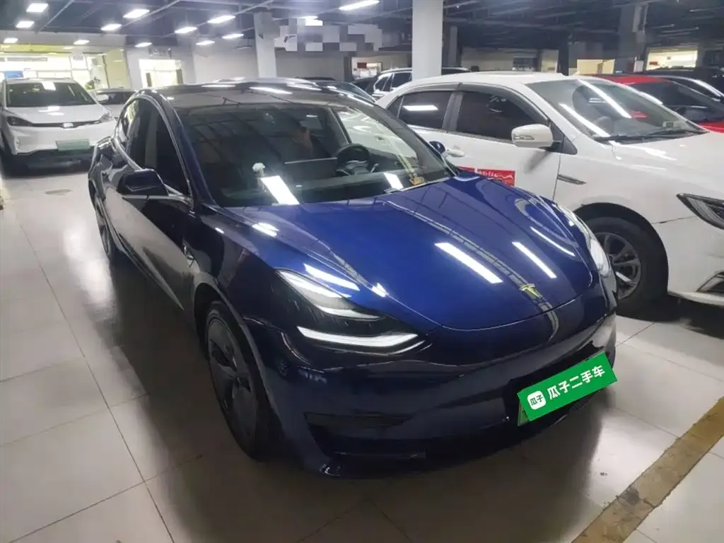 Tesla Model 3 2021 из CN, фото 6