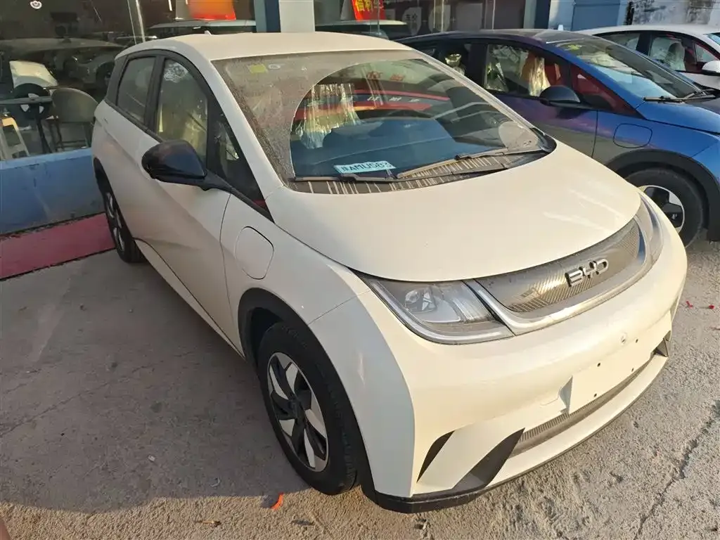 [object Object] Dolphin 2025 из CN, фото 4