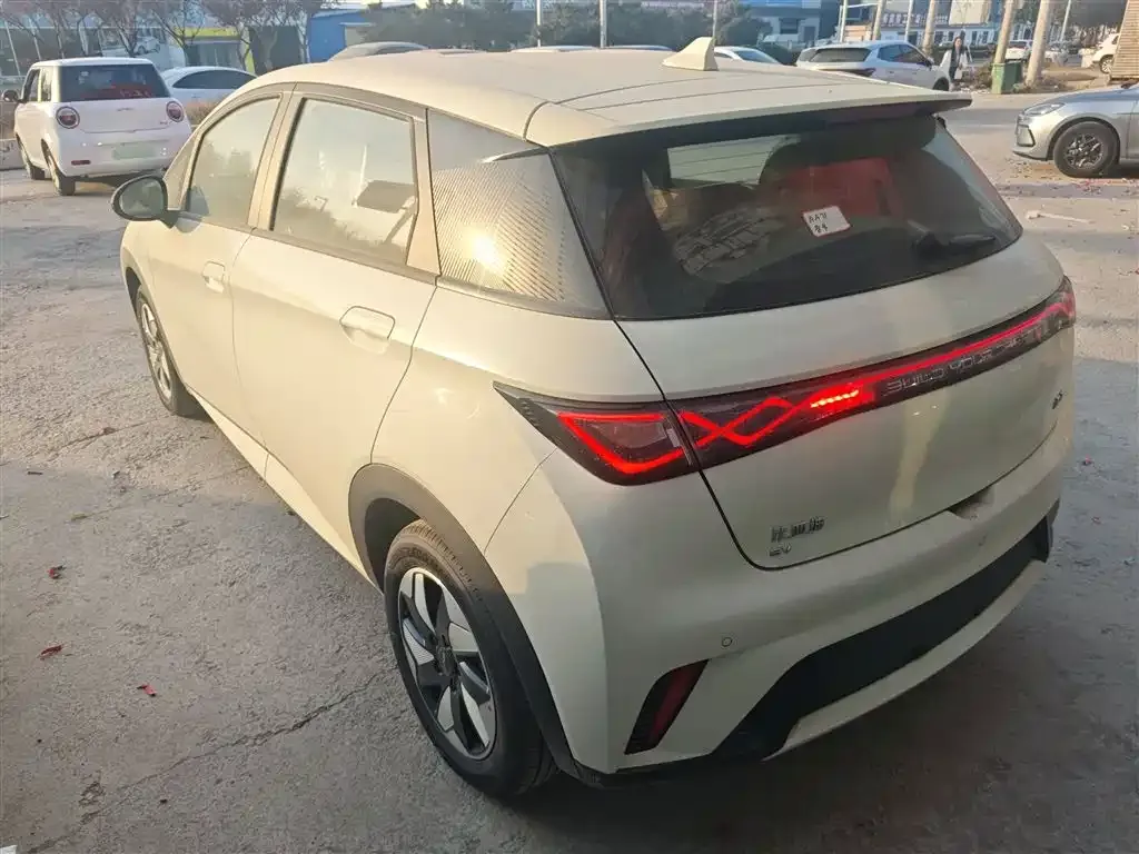 [object Object] Dolphin 2025 из CN, фото 5