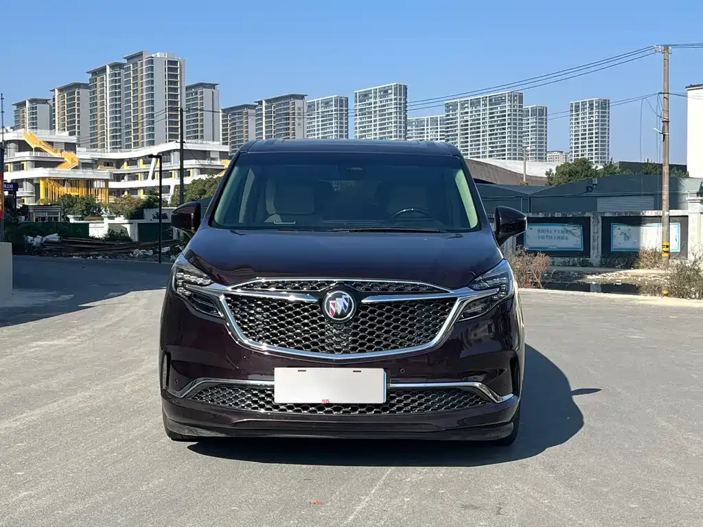 Buick GL8 2021 из CN, фото 10