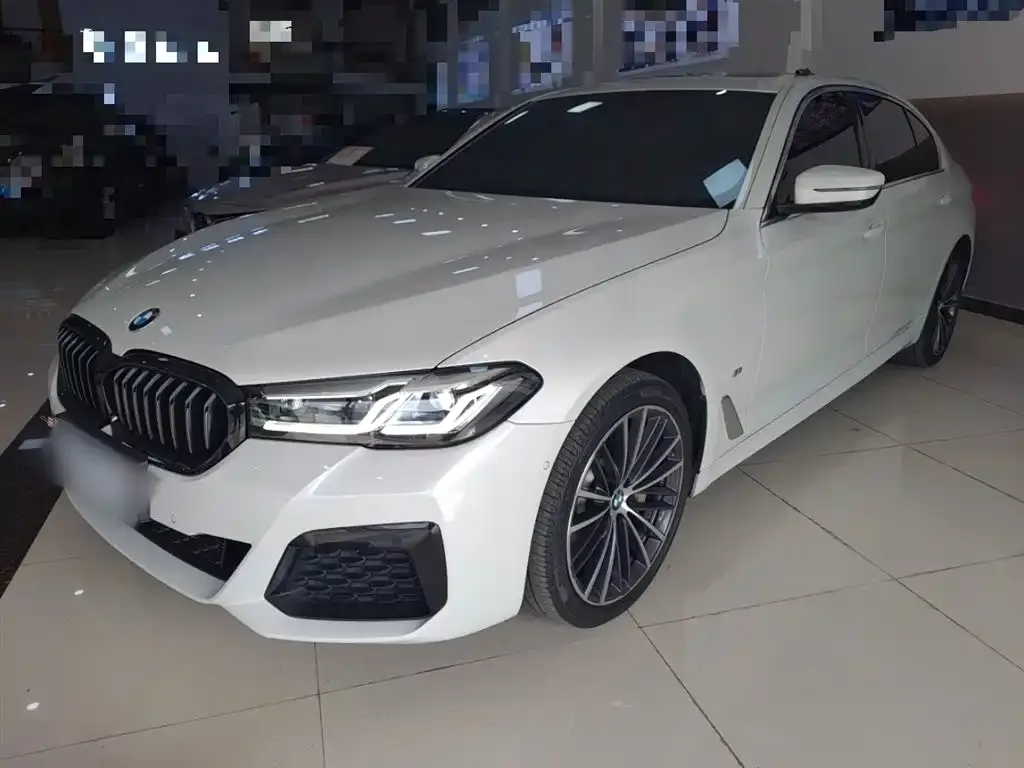 BMW 5 Series 2022 из CN, фото 1