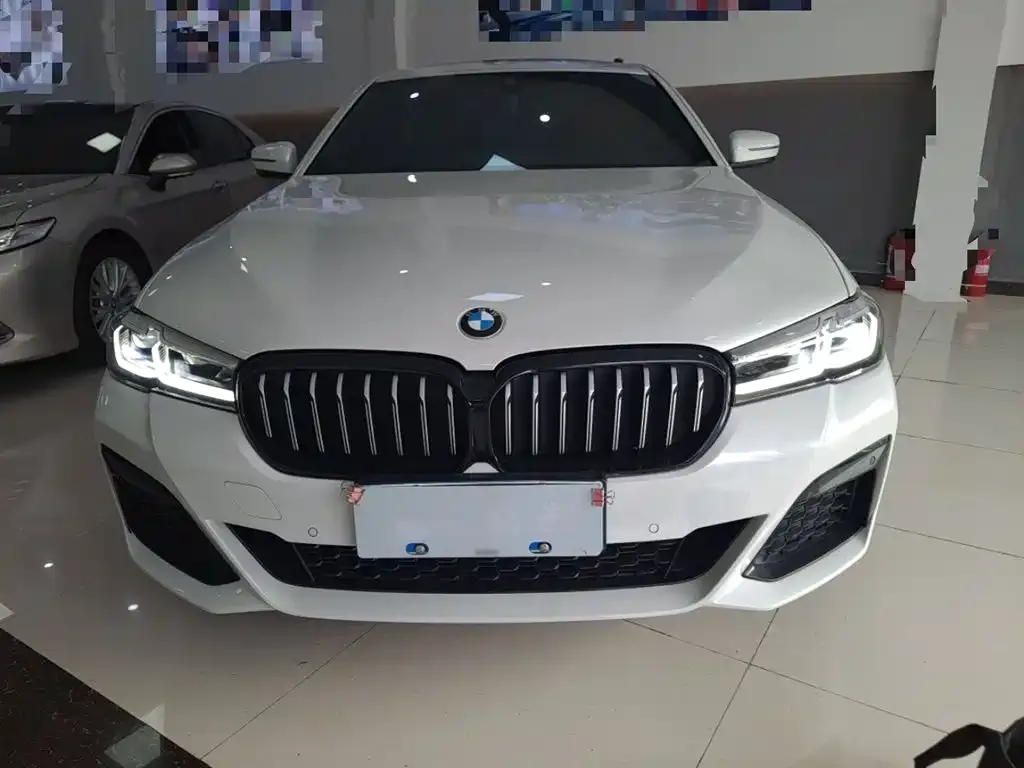 BMW 5 Series 2022 из CN, фото 7