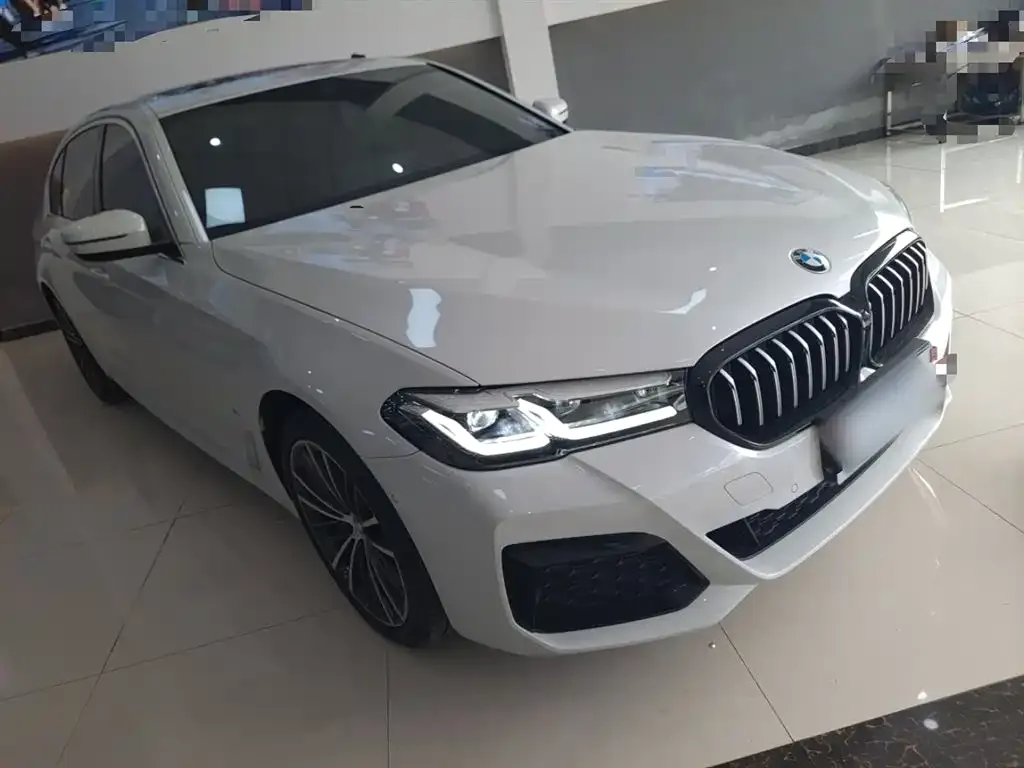 BMW 5 Series 2022 из CN, фото 5