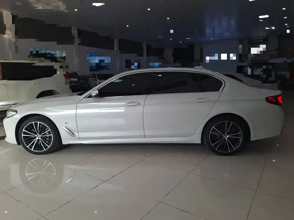 BMW 5 Series 2022 из CN, фото 8