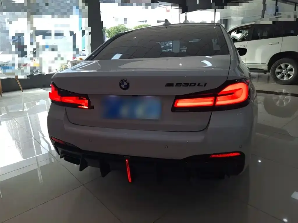BMW 5 Series 2022 из CN, фото 6
