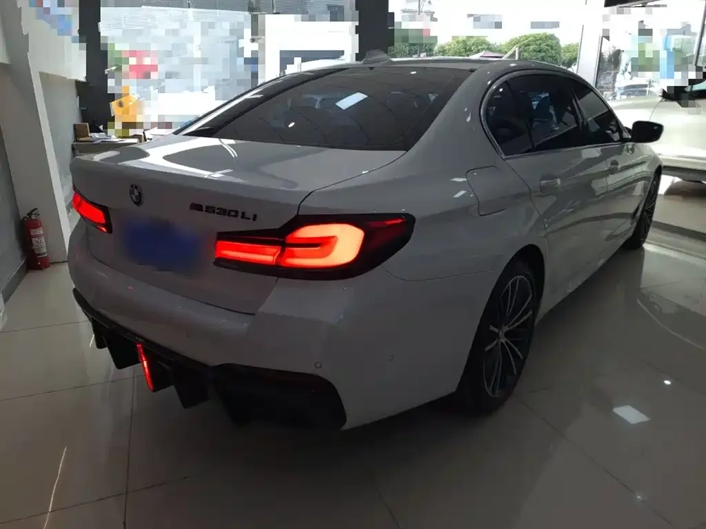 BMW 5 Series 2022 из CN, фото 4