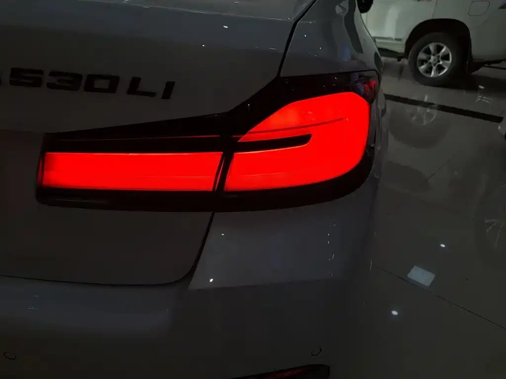 BMW 5 Series 2022 из CN, фото 2