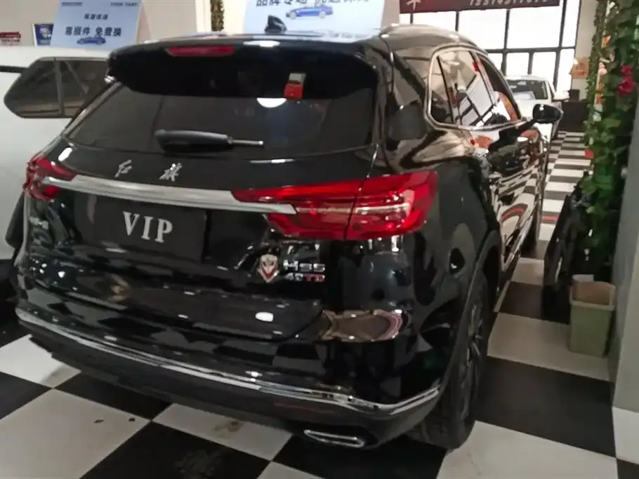 Hongqi HS5 2023 из CN, фото 4