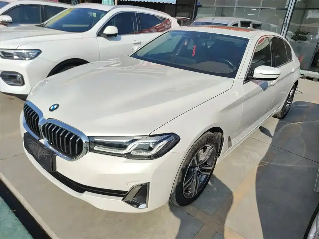 BMW 5 Series 2021 из CN, фото 4