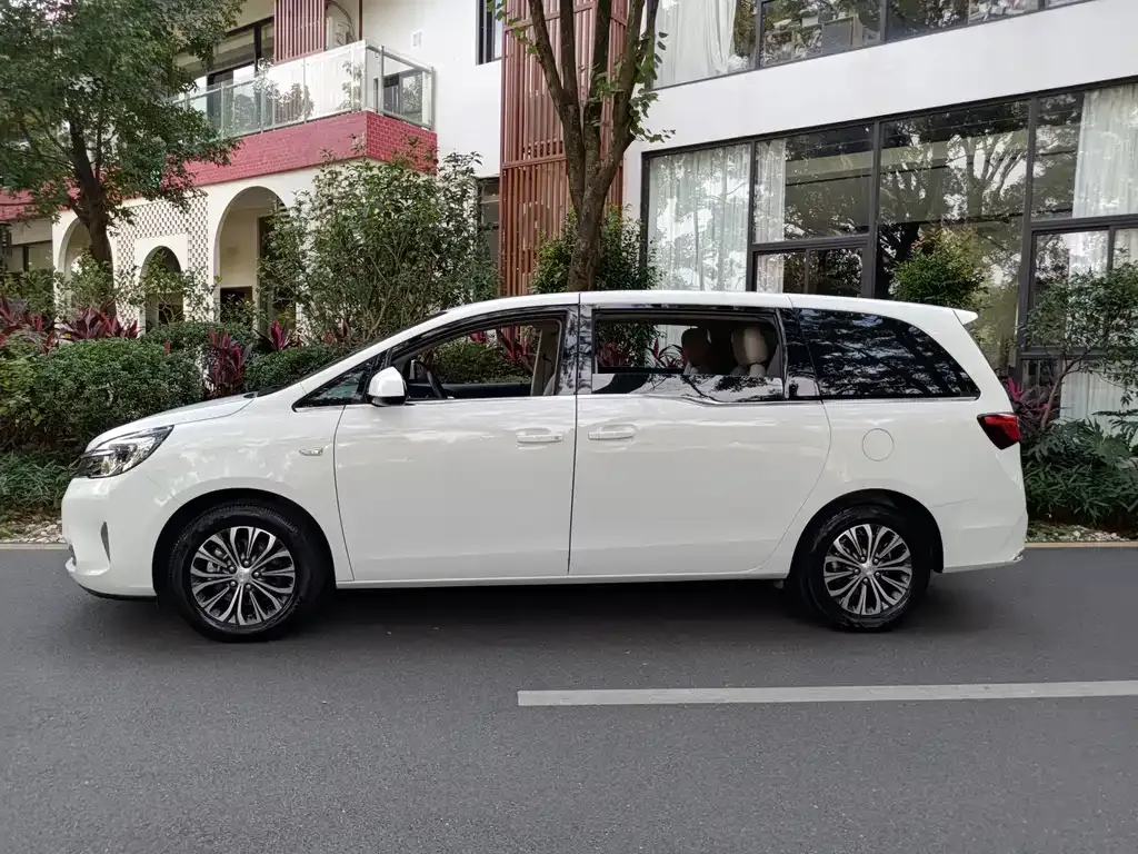 Buick GL8 2021 из CN, фото 6