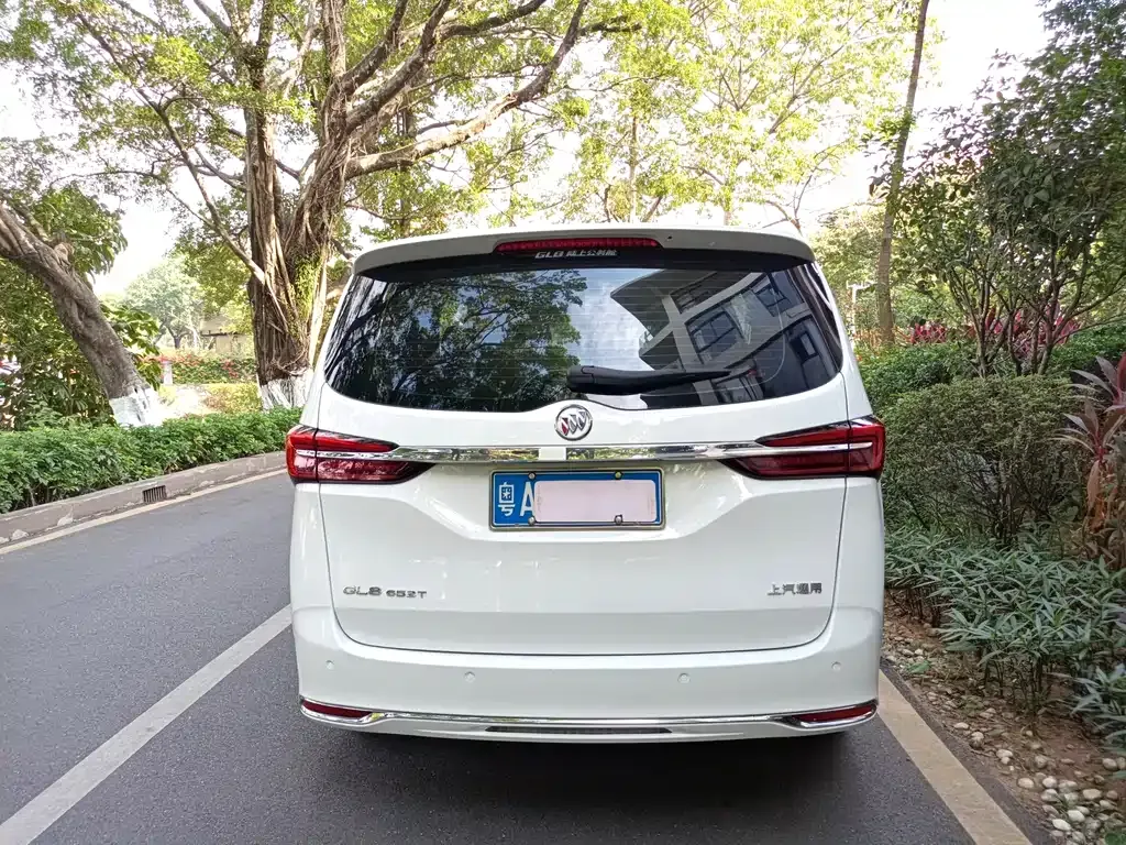 Buick GL8 2021 из CN, фото 9