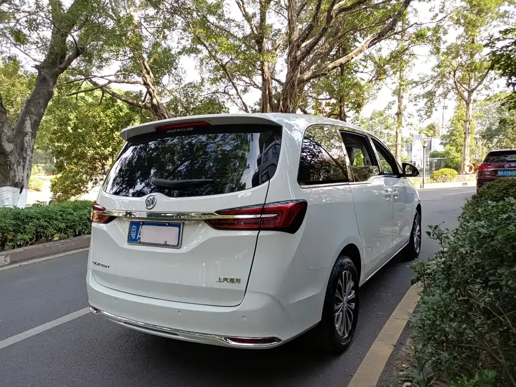Buick GL8 2021 из CN, фото 7