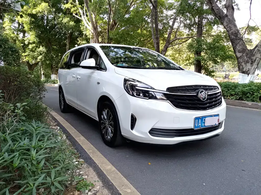 Buick GL8 2021 из CN, фото 5