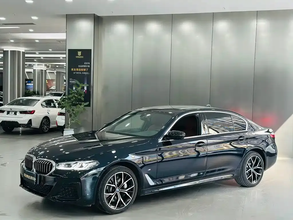 BMW 5 Series 2022 из CN, фото 1