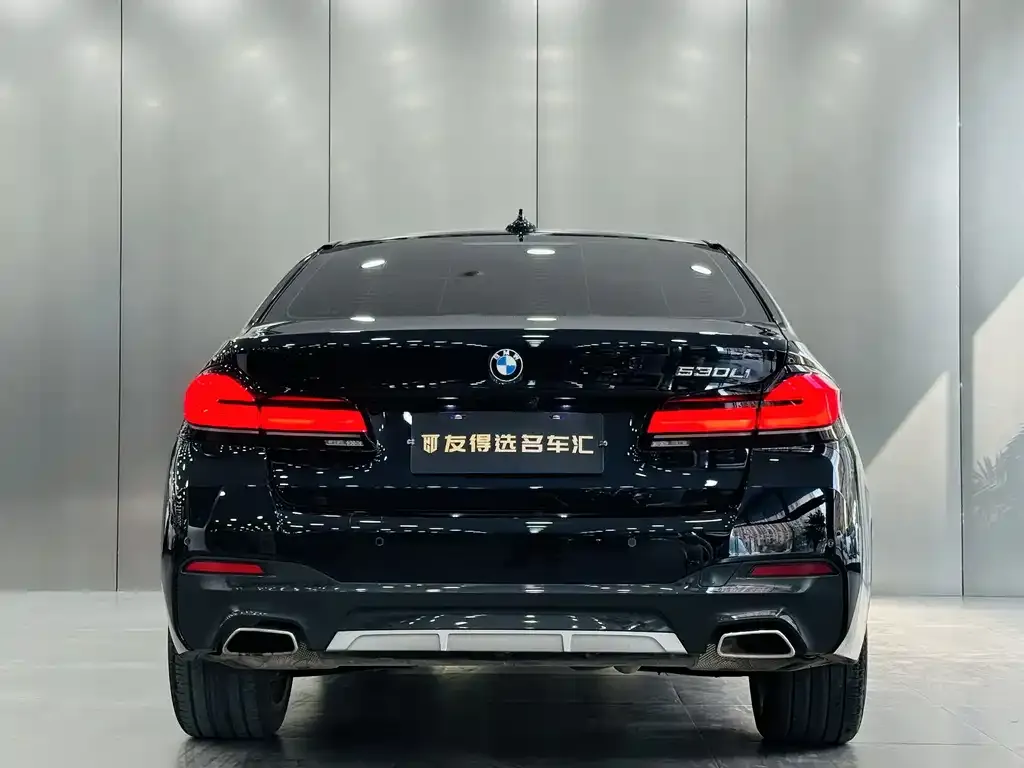 BMW 5 Series 2022 из CN, фото 3