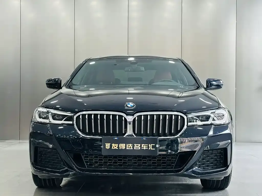 BMW 5 Series 2022 из CN, фото 2