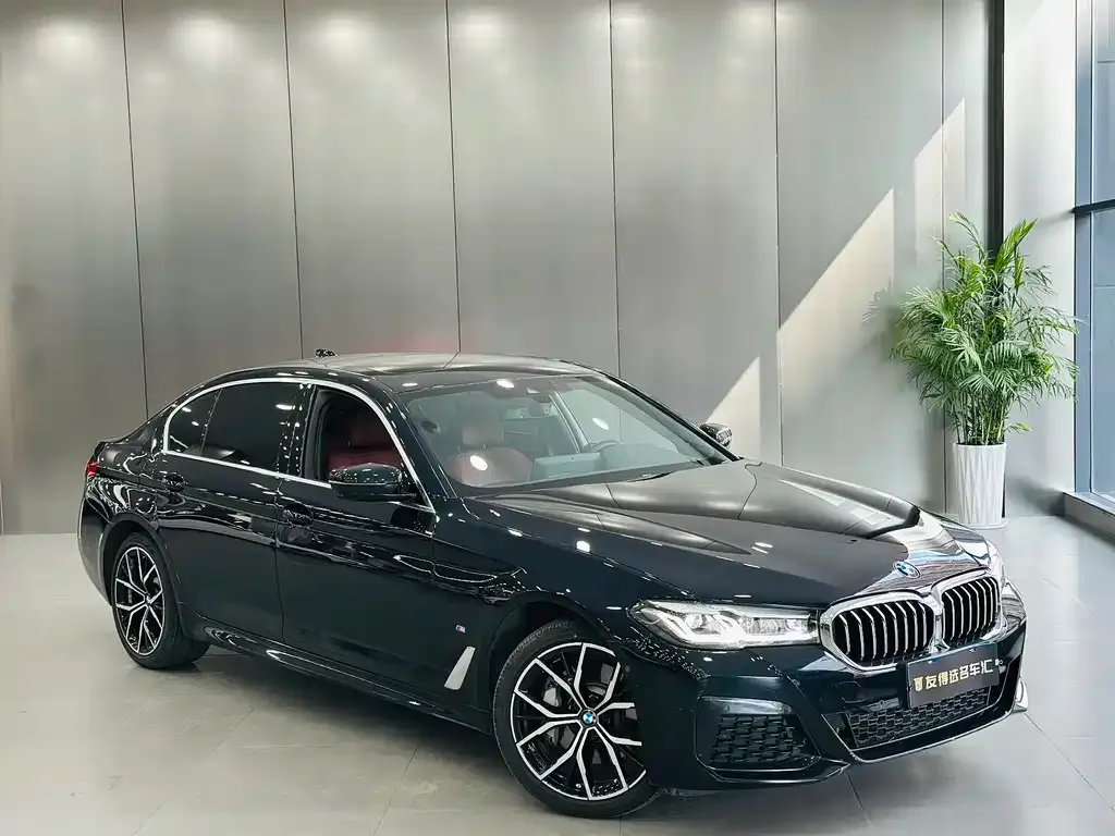BMW 5 Series 2022 из CN, фото 6