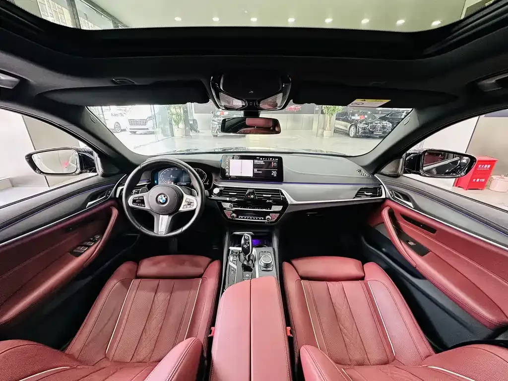 BMW 5 Series 2022 из CN, фото 8