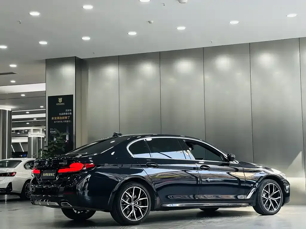 BMW 5 Series 2022 из CN, фото 5