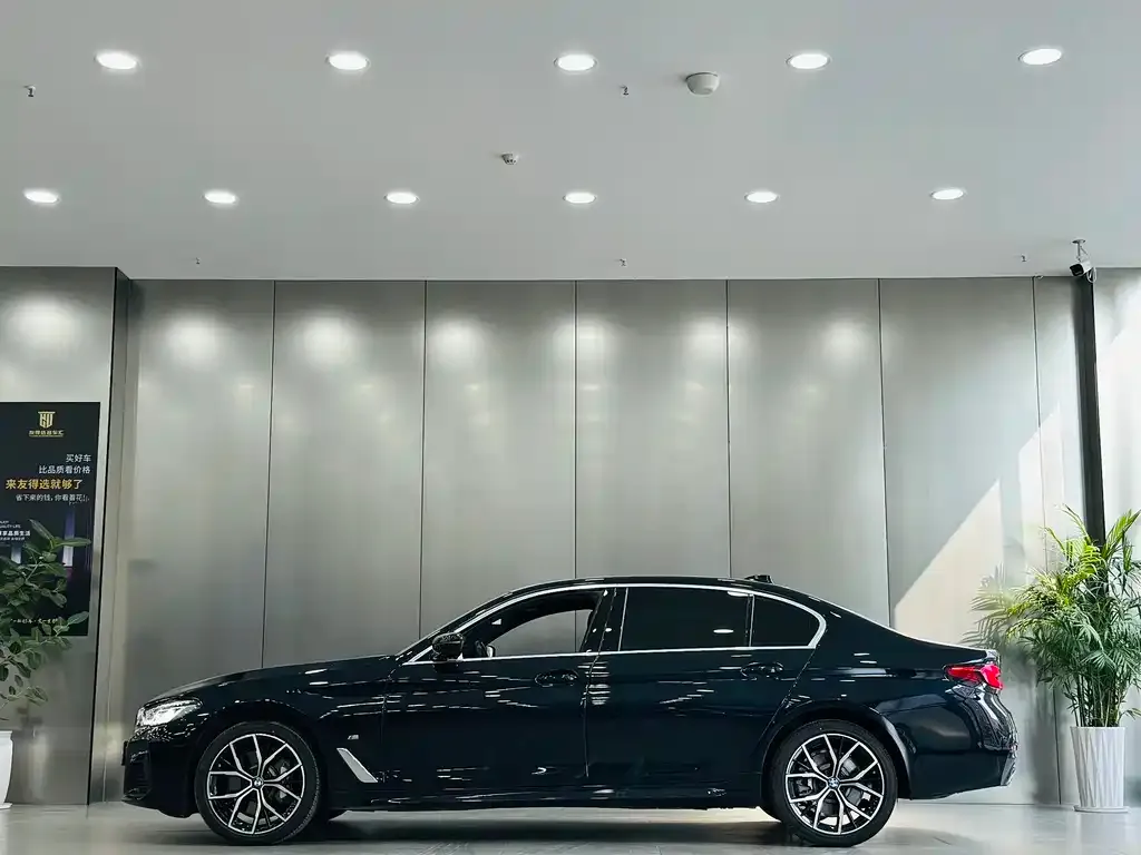 BMW 5 Series 2022 из CN, фото 7