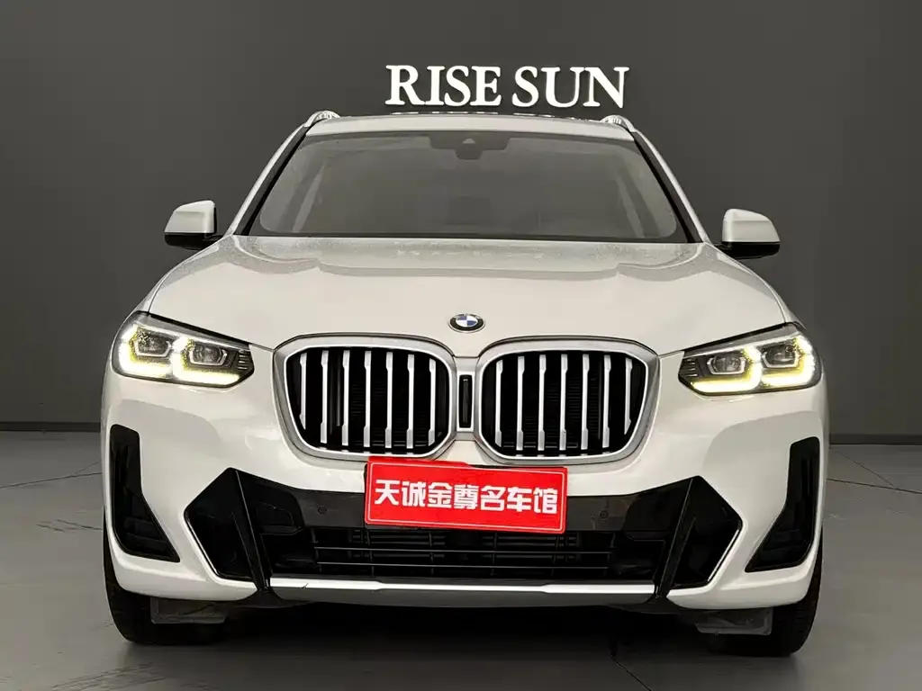 BMW X3 2021 из CN, фото 9