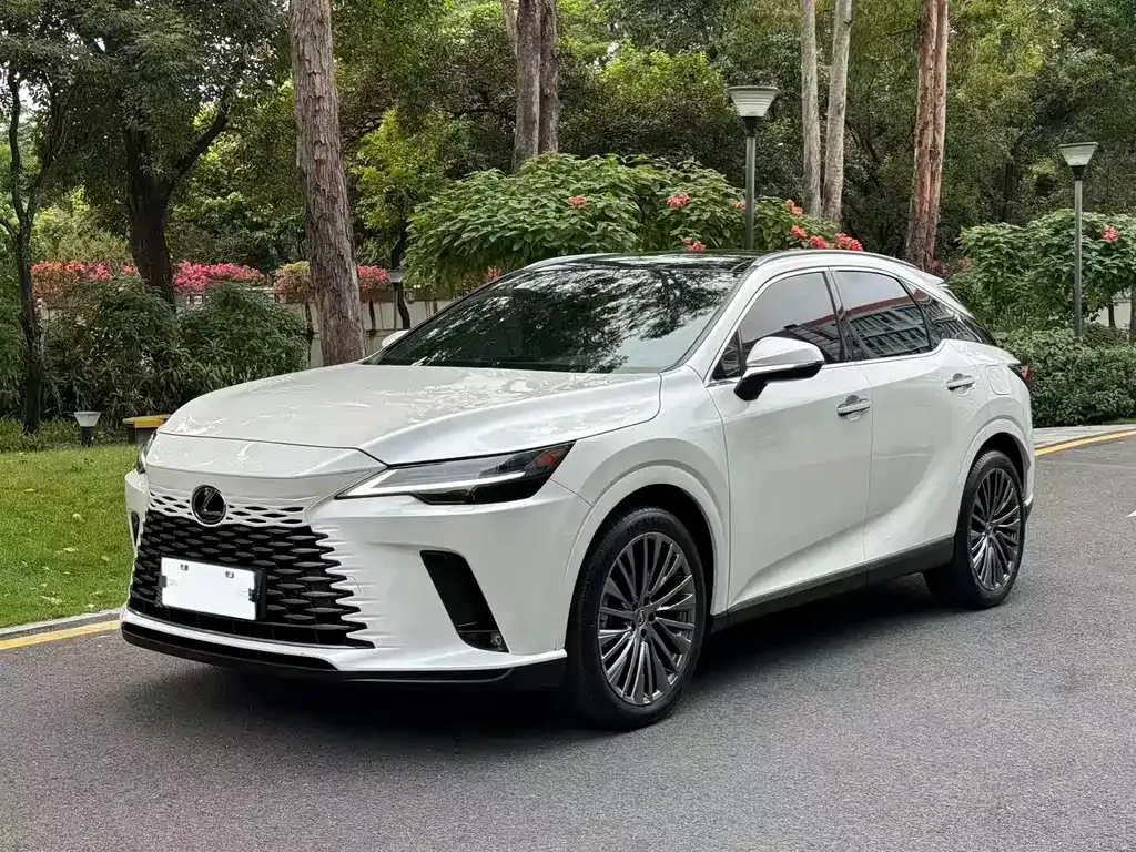 Lexus RX — фото 10