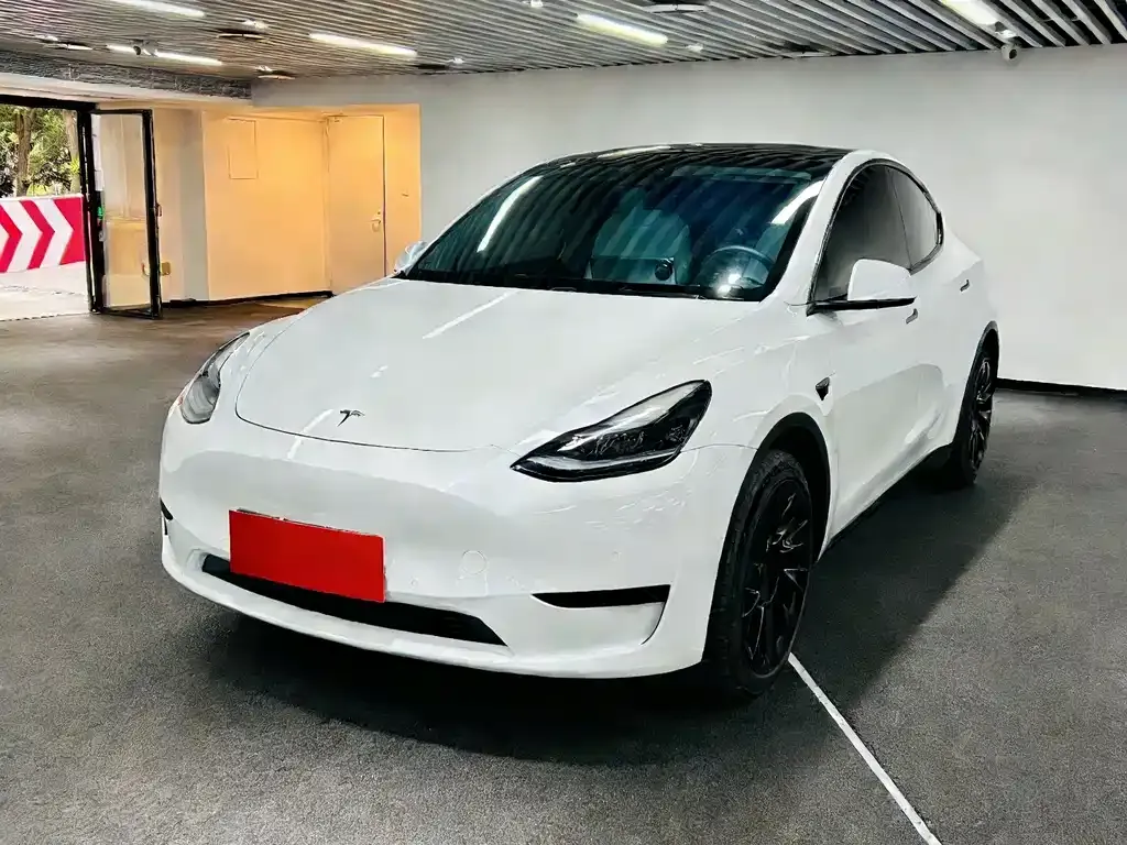 Tesla Model Y 2022 из CN, фото 1