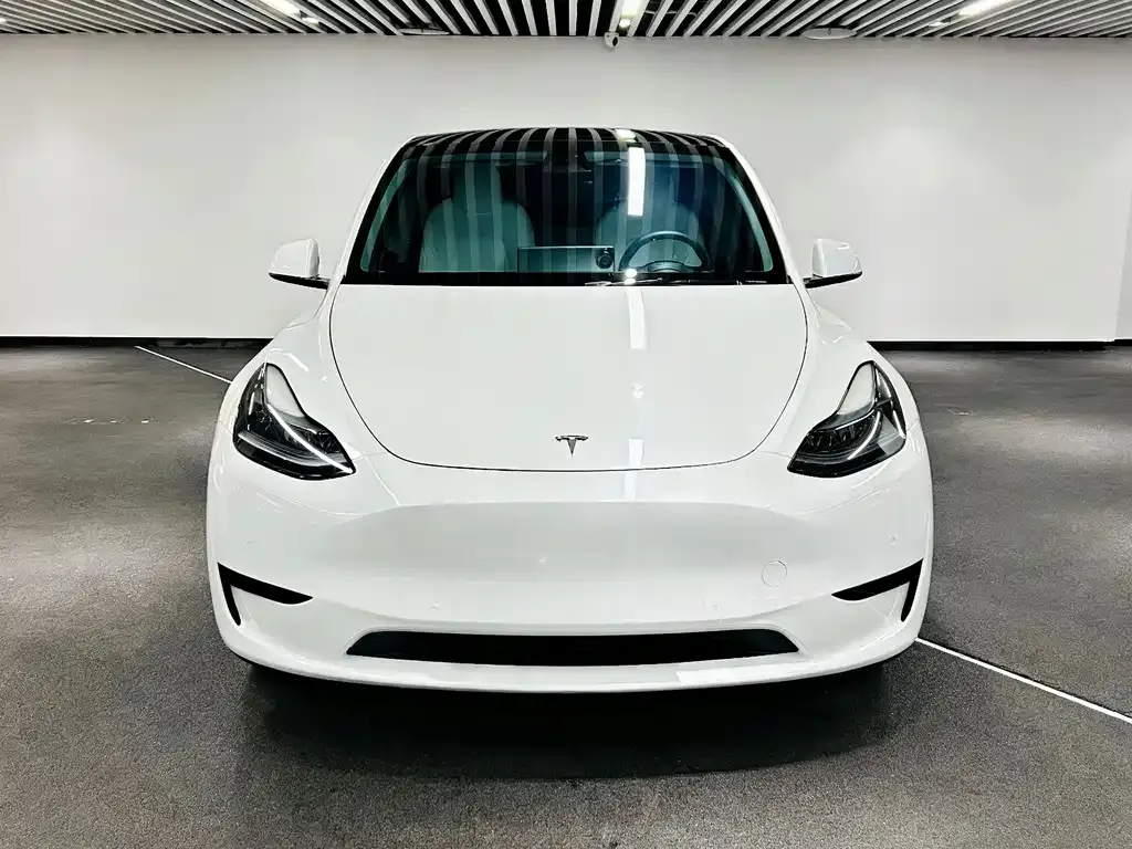 Tesla Model Y 2022 из CN, фото 2