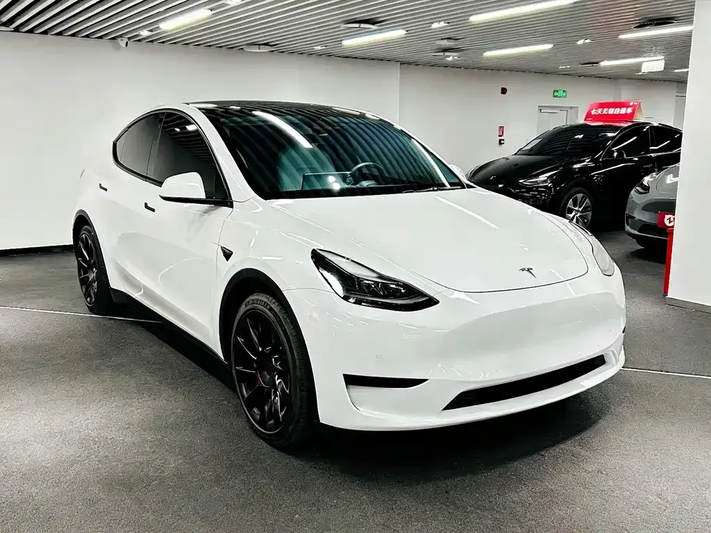 Tesla Model Y 2022 из CN, фото 3