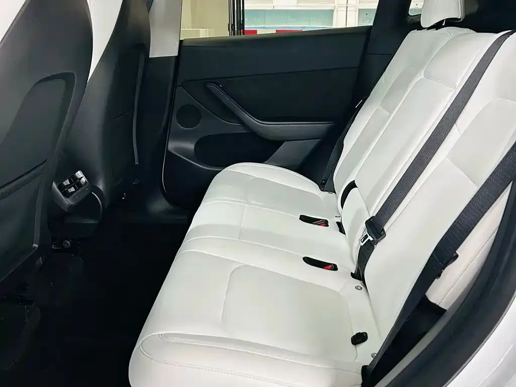 Tesla Model Y 2022 из CN, фото 5