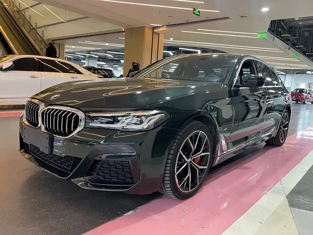 BMW 5 Series (Import) 2021 из CN, фото 1