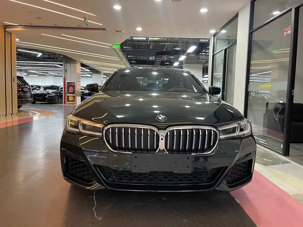 BMW 5 Series (Import) 2021 из CN, фото 2