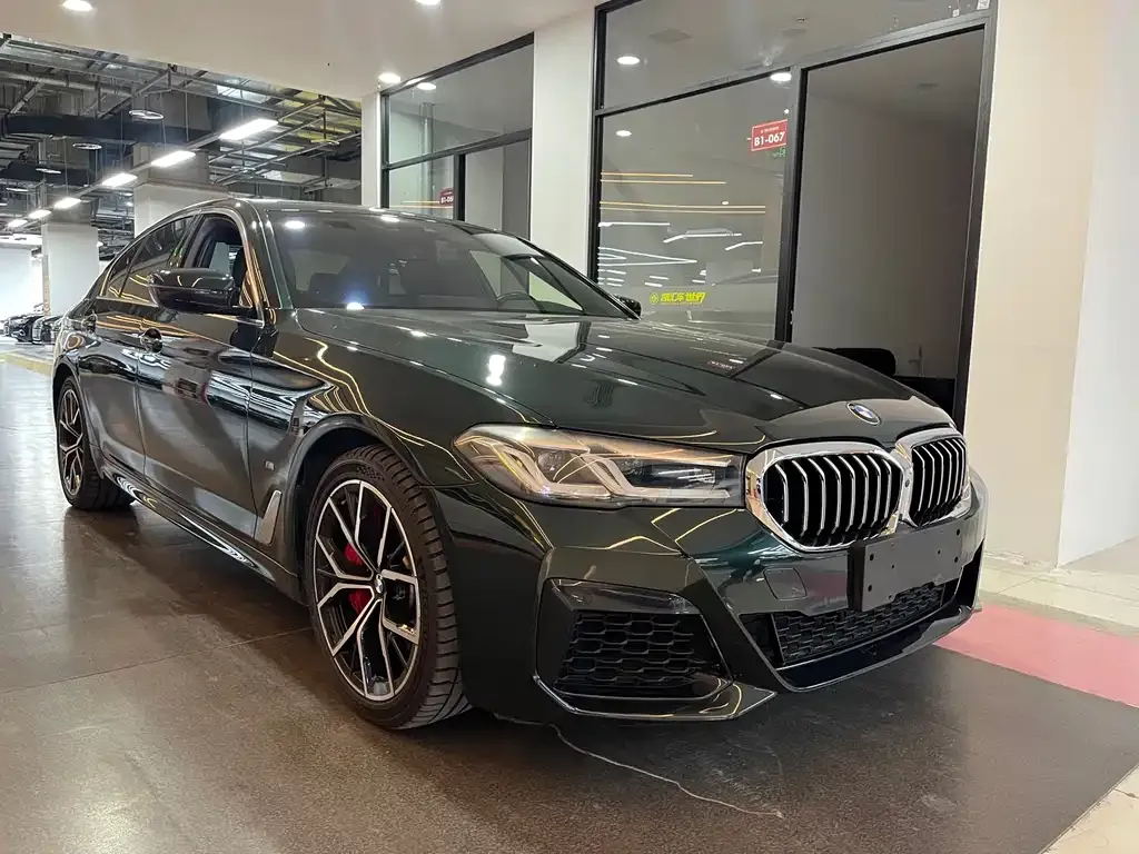 BMW 5 Series (Import) 2021 из CN, фото 5