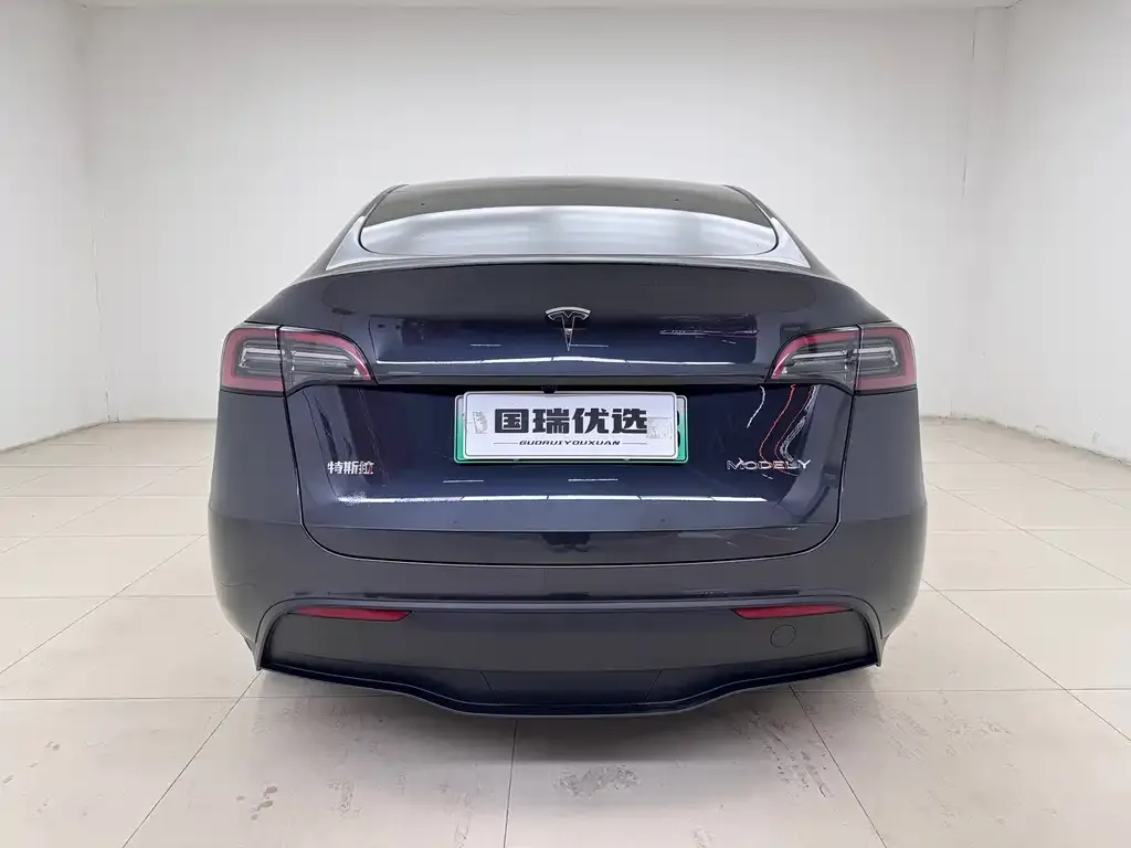 Tesla Model Y 2024 из CN, фото 2